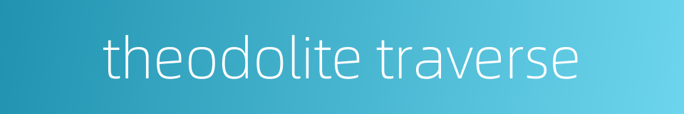 theodolite traverse的同义词