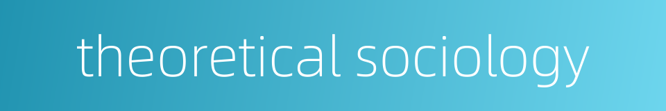 theoretical sociology的同义词