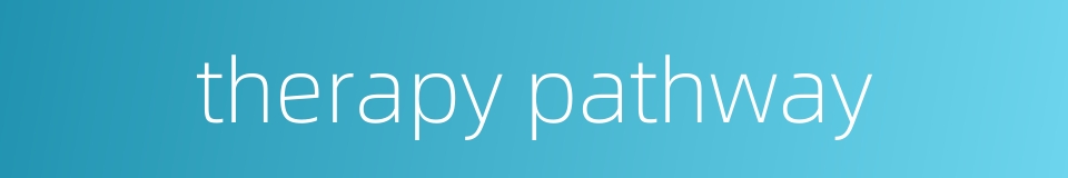 therapy pathway的同义词
