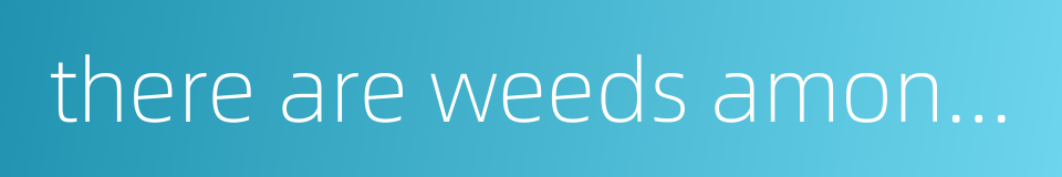 there are weeds among seedlings的同义词