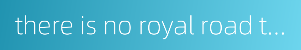 there is no royal road to learning的同义词