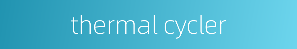 thermal cycler的同义词