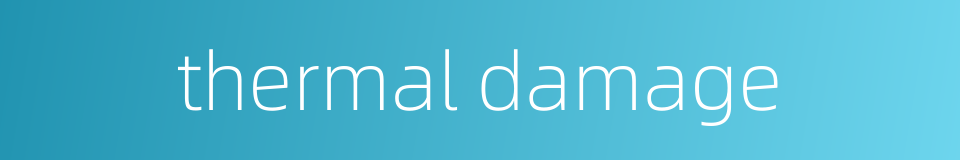 thermal damage的同义词