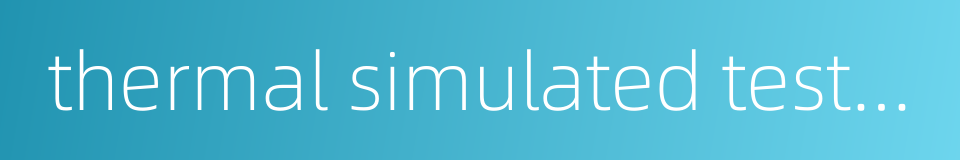 thermal simulated test machine的同义词