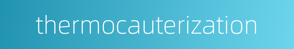 thermocauterization的同义词