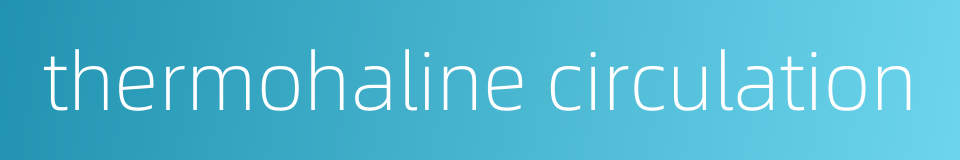 thermohaline circulation的同义词