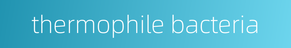 thermophile bacteria的同义词