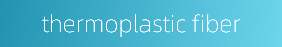 thermoplastic fiber的同义词