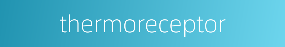 thermoreceptor的同义词