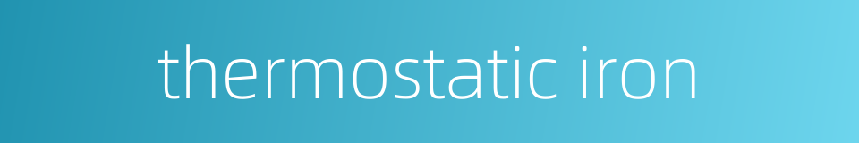thermostatic iron的同义词