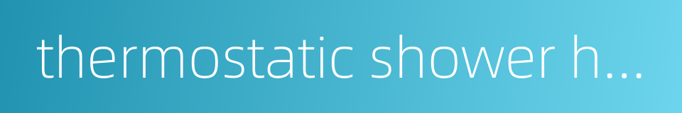 thermostatic shower head的同义词