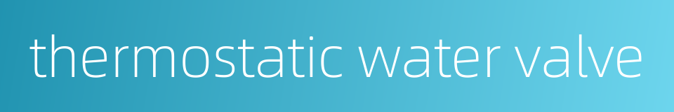 thermostatic water valve的同义词