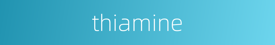 thiamine的同义词