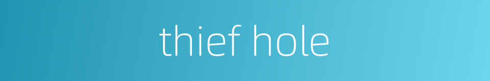 thief hole的同义词