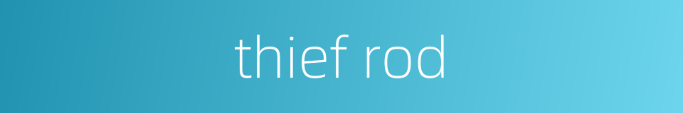 thief rod的同义词