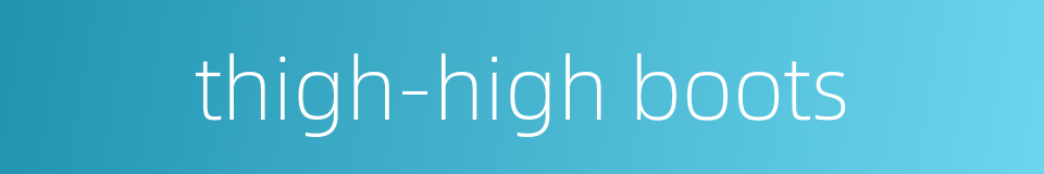 thigh-high boots的同义词