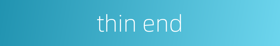 thin end的同义词