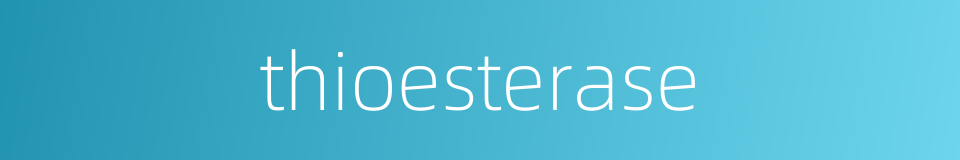thioesterase的同义词