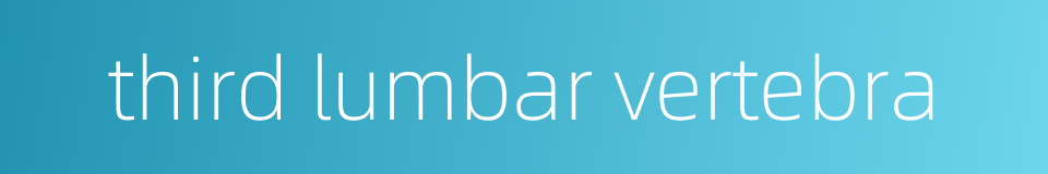 third lumbar vertebra的同义词