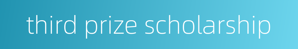 third prize scholarship的同义词