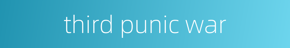 third punic war的同义词