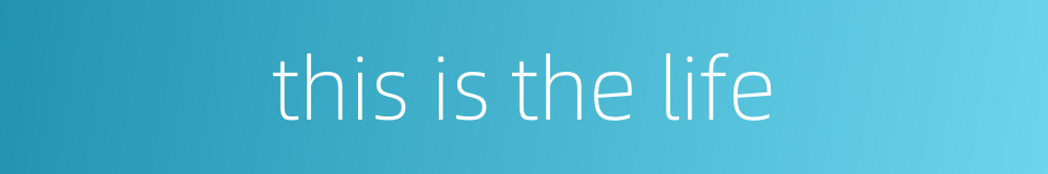 this is the life的同义词