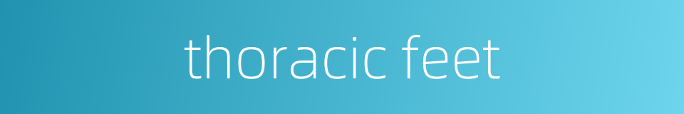 thoracic feet的同义词