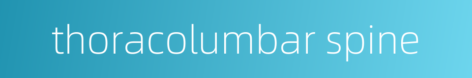 thoracolumbar spine的同义词