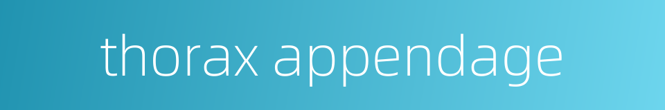thorax appendage的同义词