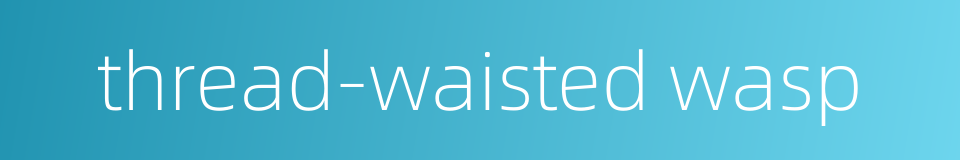thread-waisted wasp的同义词