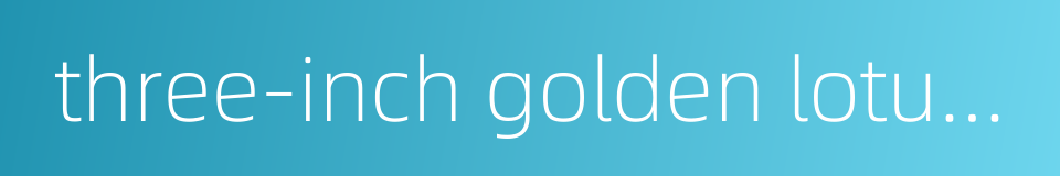 three-inch golden lotuses -woman's bound feet in feudal age的同义词