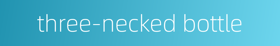 three-necked bottle的同义词