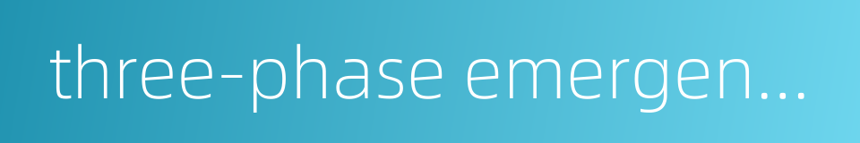 three-phase emergency power supply的同义词