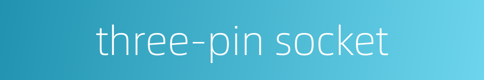 three-pin socket的同义词