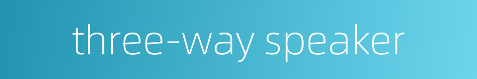 three-way speaker的同义词