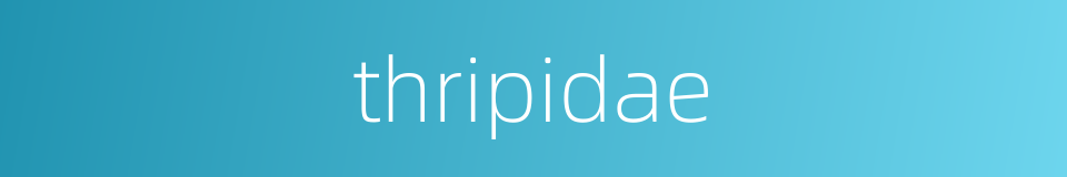 thripidae的同义词