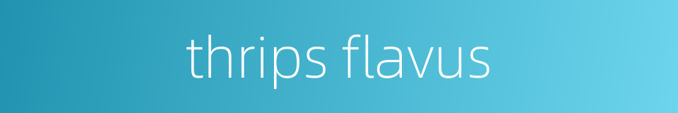 thrips flavus的同义词