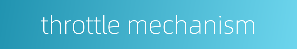 throttle mechanism的同义词