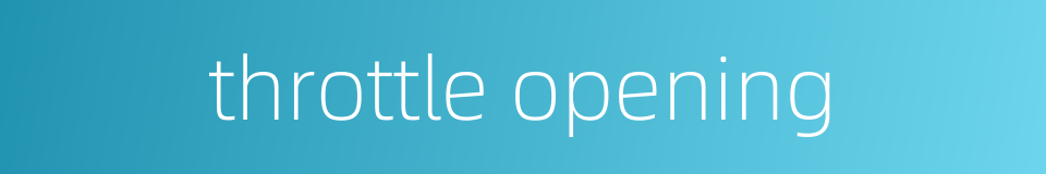 throttle opening的同义词