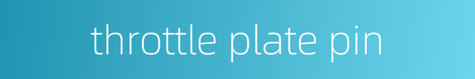 throttle plate pin的同义词