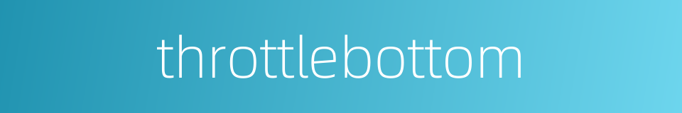 throttlebottom的同义词