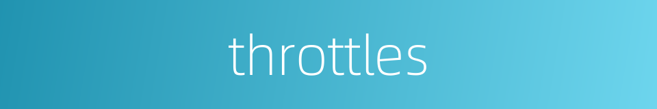 throttles的同义词