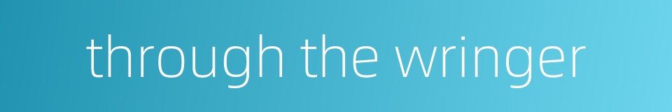 through the wringer的同义词