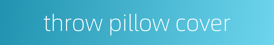 throw pillow cover的同义词
