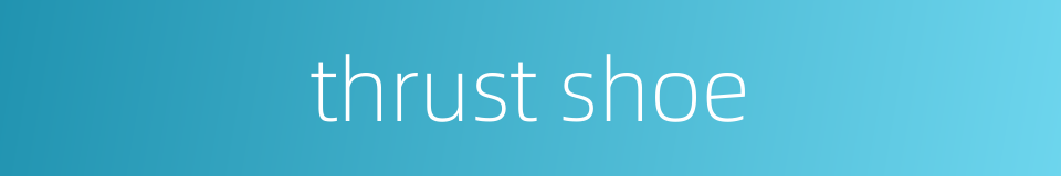 thrust shoe的同义词