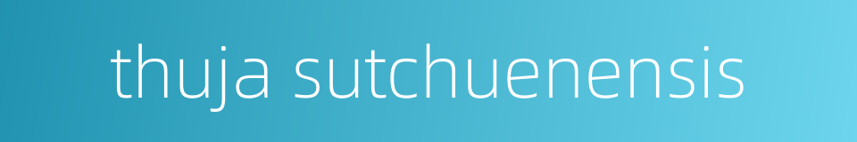 thuja sutchuenensis的同义词