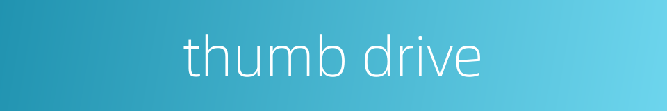 thumb drive的同义词