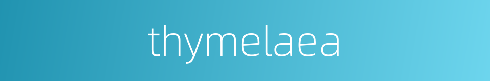 thymelaea的同义词