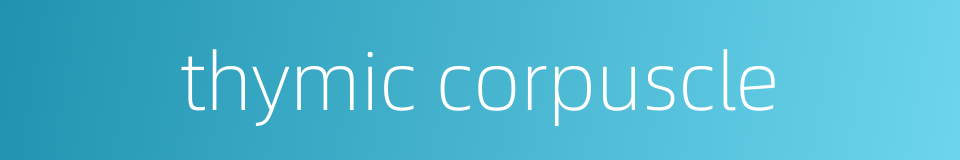 thymic corpuscle的同义词