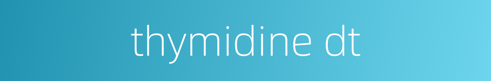 thymidine dt的同义词